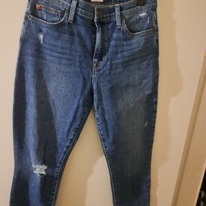 Hudson Jeans Women's Skinny Jeans - Blue